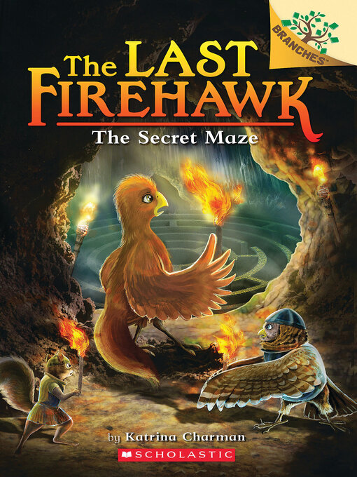 Cover image for The Secret Maze